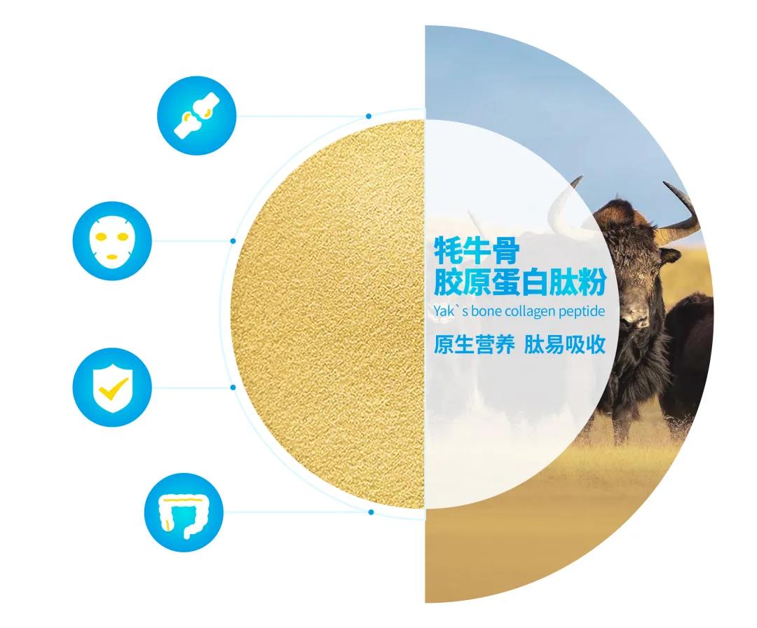泓九原生肽牦牛骨胶原蛋白肽——科技成就中国健康肽