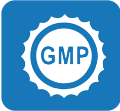 GMP认证